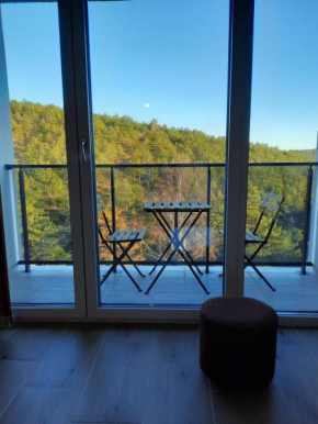 Goga Apartmani